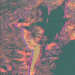 Meet your Posher, Dylan